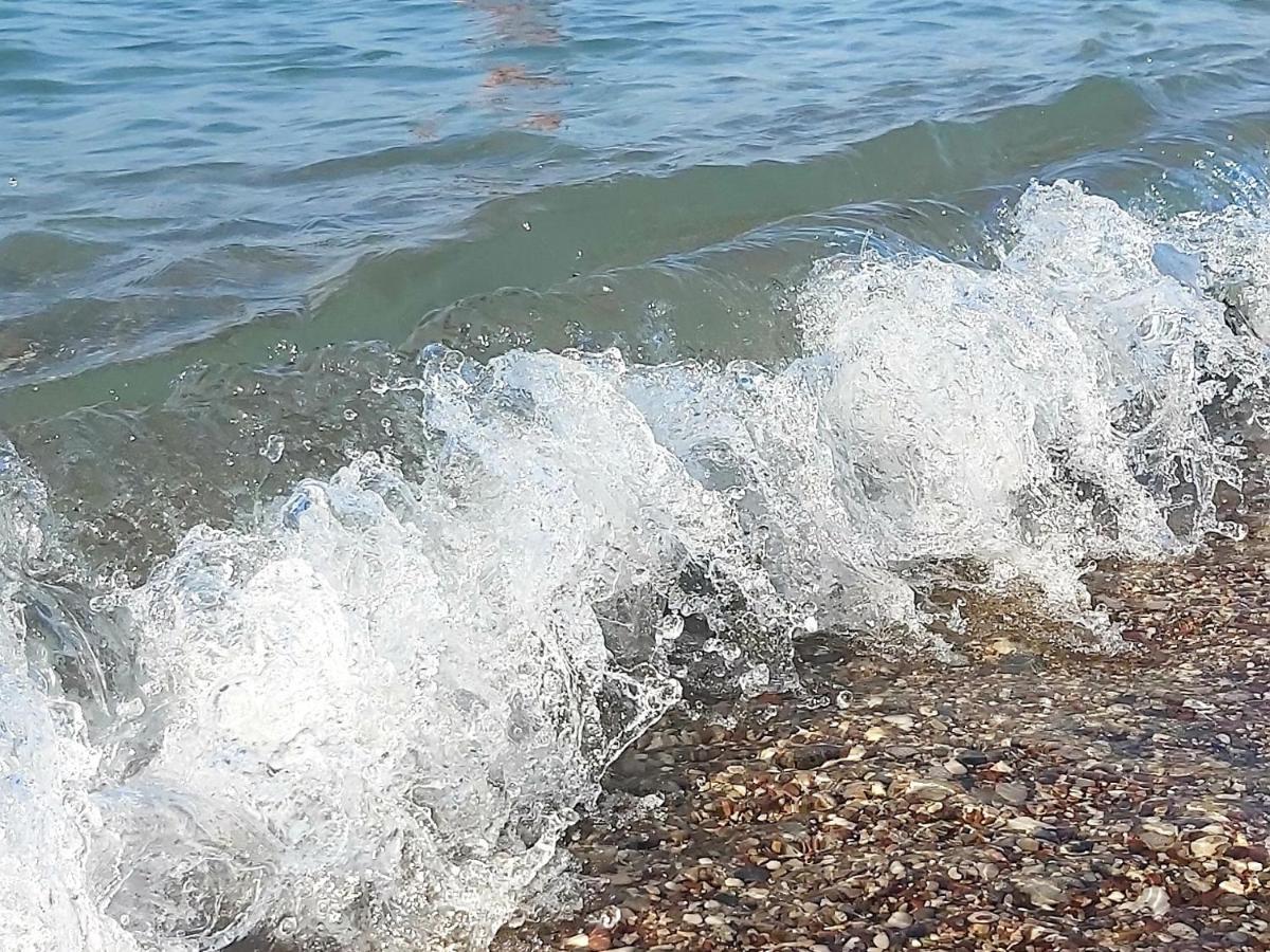 Sunčani apartman 1-Vila Amfora Budva Bagian luar foto